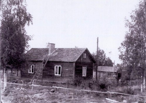 Varpula
